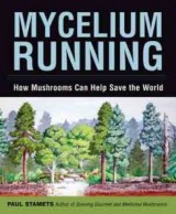 1201mycelium20running