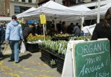 050706OrganicMarket