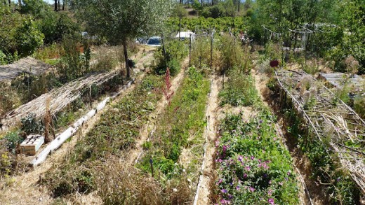 "Jardin Famililal" au mas de Beaulieu