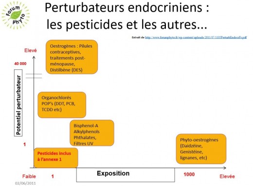 Graphique perturbateurs endocriniens