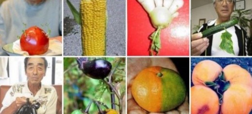 Fruits et légumes faussement originaire de Fukushima