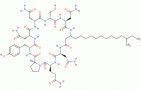 1401Mycosubtiline