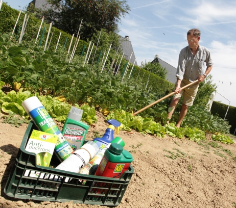 Jardiner avec ou sans pesticides? Telle est la question