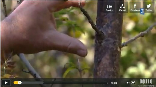 Reportage Vidéo France 3 Rhône-Alpes