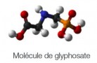 1503MoleculeGlyphosate