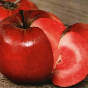 Pomme Red Love