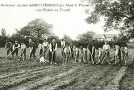 Travail manuel dans les champs au début du XXe siècle (Coll. J.L. Bernard)