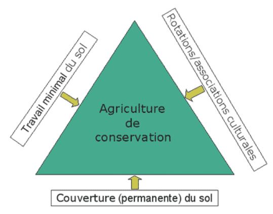 Les principes de l'agriculture de conservation (source: FAO)