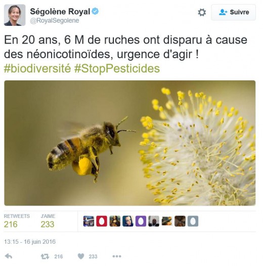 1606SegoleneRoyalNeonics