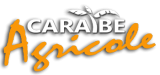 1606logo-caraibe-agricole