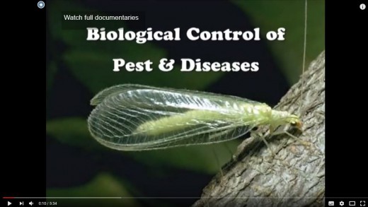 1608BiologicalControlVideo