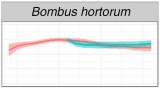 1609BombusHortorum